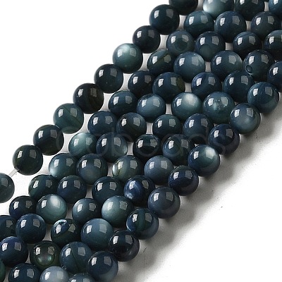 Natural Freshwater Shell Beads Strands SHEL-H003-03C-1