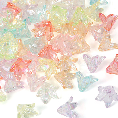 Pandahall 160Pcs 8 Colors Transparent Acrylic Bead Caps OACR-TA0001-16-1