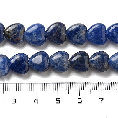 Natural Sodalite Beads Strands G-R190-10mm-37-1