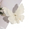 Double Butterfly Shape Cellulose Acetate(Resin) Claw Hair Clips, Hair Accessories for Women Girl, Beige, 63x67mm