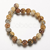 Natural Crazy Lace Agate Round Bead Strands X-G-M272-03-8mm-2