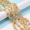 Natural Citrine Chips Beads X-F091-1