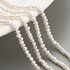 Natural Cultured Freshwater Pearl Beads Strands PEAR-C003-04C-2