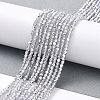 Transparent Electroplate Glass Beads Strands GLAA-H021-01A-HP06-3