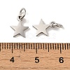 Non-Tarnish 201 Stainless Steel Charms STAS-E217-25B-P-3