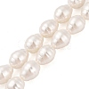 Shell Pearl Beads Strands BSHE-L035-A02-3