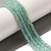 Natural Amazonite Beads Strands G-N342-84-2