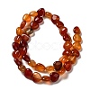 Natural Carnelian Beads Strands G-B022-19B-2