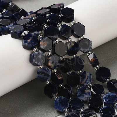 Natural Sodalite Beads Strands G-P534-A11-02-1