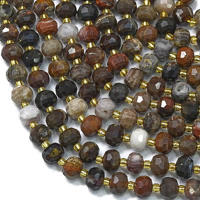 Natural Petrified Wood  Beads Strands G-K389-E49-01-1