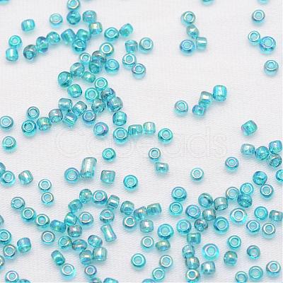 6/0 Round Glass Seed Beads SEED-J011-F6-179-1