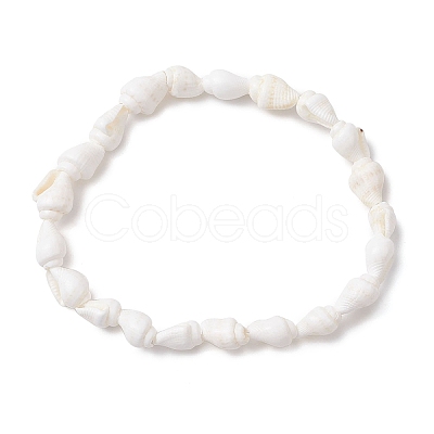 Natural Trumpet Shell Beads Stretch Bracelets BJEW-JB110104-1