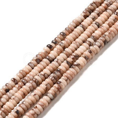 Natural Fossil Beads Strands G-I339-06-1