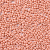 Glass Seed Beads SEED-S060-A-F414-3