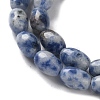 Natural Blue Spot Jasper Beads Strands G-I369-B01-01-4