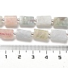 Natural Morganite Beads Strands G-N327-06-03-5