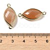 Natural Sunstone Faceted Connector Charms G-K347-03G-01-3