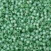 TOHO Round Seed Beads SEED-XTR08-PF2103-2