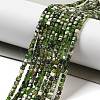 Natural Diopside Beads Strands G-G161-C23-01-2