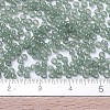 MIYUKI Round Rocailles Beads X-SEED-G007-RR2375-4