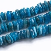Natural Apatite Beads Strands X-G-G841-B06-1
