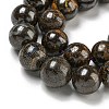 Natural Boulder Opal Beads Strands G-P544-A01-03-4