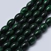 Natural Malachite Beads Strands G-F571-21-A-1