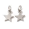 Non-Tarnish 201 Stainless Steel Charms STAS-E217-25B-P-1