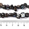 Natural Freshwater Shell Beads Strands BSHE-S304-06-4