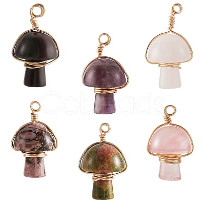 6Pcs 6 Style Natural Mixed Gemstone Pendants G-SZ0001-88-1