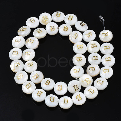 Natural Freshwater Shell Beads SHEL-S276-168B-1