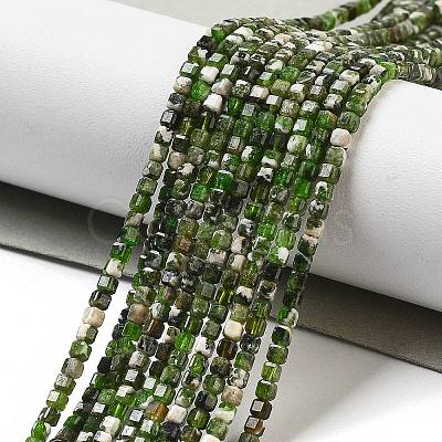 Natural Diopside Beads Strands G-G161-C23-01-1