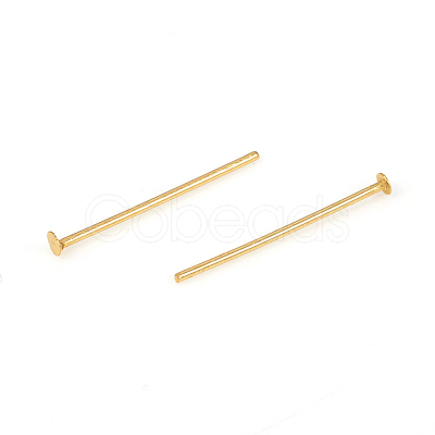 304 Stainless Steel Flat Head Pins STAS-L244-02H-G-1