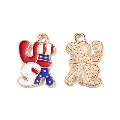 Independence Day Alloy Enamel Pendants ENAM-K067-32-1