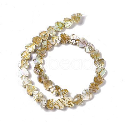 Drawbench Style Natural Freshwater Shell Beads Strands SHEL-F003-03-1