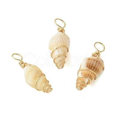 Natural Spiral Shell Pendants PALLOY-JF02793-01-1