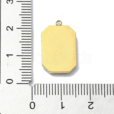 Ion Plating(IP) 304 Stainless Steel Pendants STAS-B058-18G-02-1