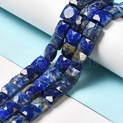 Natural Lapis Lazuli Beads Strands G-G980-08-1