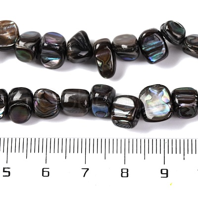 Natural Freshwater Shell Beads Strands BSHE-S304-06-1