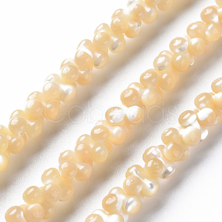 Natural Trochid Shell/Trochus Shell Bead Strands SSHEL-N034-104-A01-1