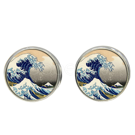 Picture Glass Stud Earrings EJEW-O088-73-1