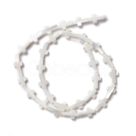 Natural Trochid Shell/Trochus Shell Beads SSHEL-O0001-22A-1
