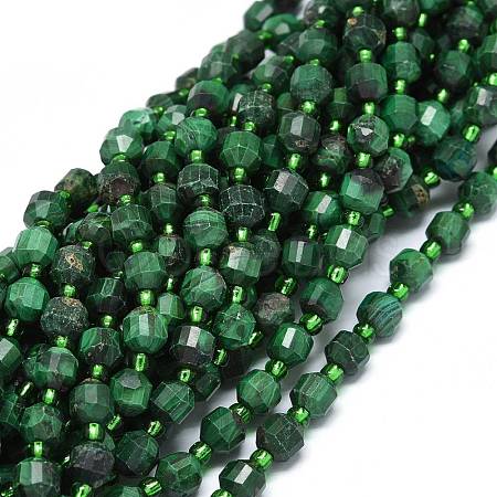 Natural Malachite Beads Strands G-O201B-05-1