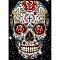 Halloween Skull Elements DIY Diamond Painting Kits, Including Resin Rhinestones, Diamond Sticky Pen, Tray Plate and Glue Clay, Colorful, 400x300mm