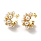 Brass Stud Earrings for Women, with ABS Plastic Imitation Pearl Beads, C-Shape, Real 18K Gold Plated, 24~26x15~15.5mm