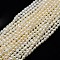 Natural Cultured Freshwater Pearl Beads Strands, Rice, Creamy White, 5~7x3~4mm, Hole: 0.6mm, about 53~57pcs/strand, 13.77 inch~14.17 inch