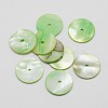 Dyed Natural Shell Beads X-SHEL-P004-06H-1
