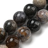 Natural Dendritic Jasper Beads Strands G-R494-A23-04-1