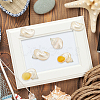 Natural Conch Decorations SSHEL-WH0001-40-5