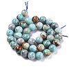 Natural Chrysocolla Beads Strands G-R477-10mm-2
